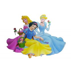 Princess Decorative Sticker Decal