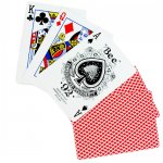 Bee Premium Playing Cards (Colors may vary)