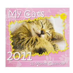 My Cats 2011 Calendar - 16 Month Calendar