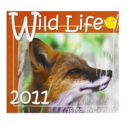 Wild Life 2011 Calendar - 16 Month Calendar