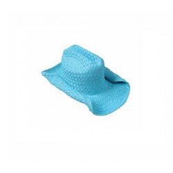 Cowboy Hat -Toyo Roll Up Cowboy Hat (Blue)