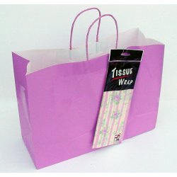 12 Large Fuchsia Gift Bags w/ Tissues - (1dz. Total)