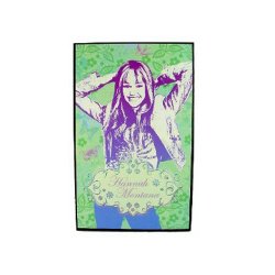 Hannah Montana -Rock the Walls - Butterfly Wall Art