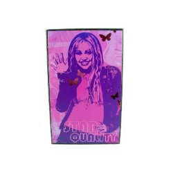 Hannah Montana -Rock the Walls - Star Quality Wall Art