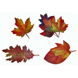 Giant Leaf Shaped Cutouts - 4 Pack