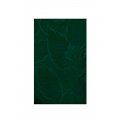 Cloth Napkins - 16" x 16" Napkins