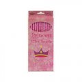 Princess Pencils - 12 Pack - Pink Princess Theme